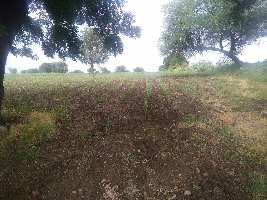  Agricultural Land for Sale in Shahabad, Gulbarga