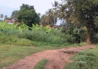  Agricultural Land for Sale in Sirumugai, Coimbatore