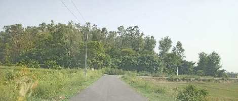  Commercial Land for Sale in Kaladhungi Road, Haldwani