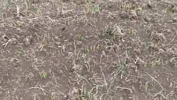  Agricultural Land for Sale in Nakhatrana, Kutch