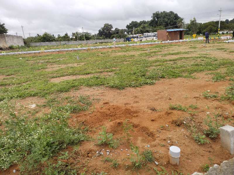  1549 Sq.ft. Residential Plot for Sale in Bannerghatta Road, Bangalore