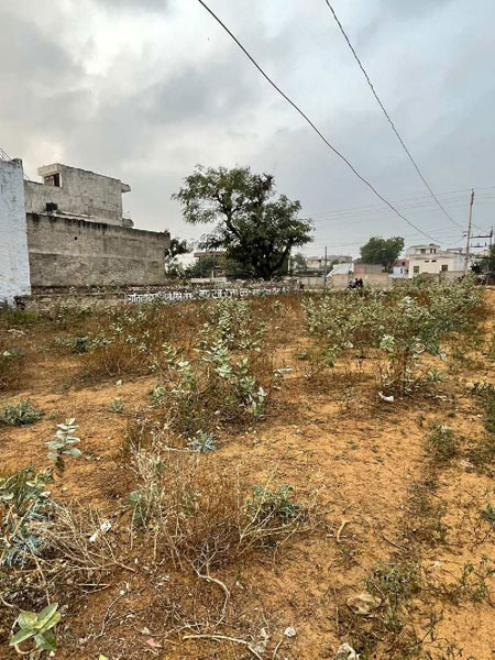  Commercial Land 5500 Sq.ft. for Rent in Shiv Shakti Nagar, Dausa