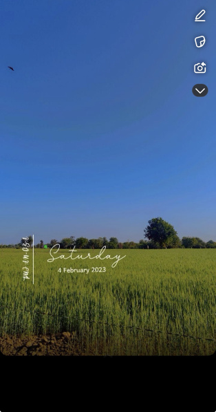  2 Bigha Agricultural/Farm Land for Sale in Ramosna, Mehsana