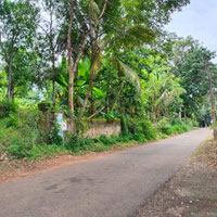  Residential Plot for Sale in Pandalam, Pathanamthitta