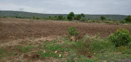  Agricultural Land for Sale in Tadipatri, Anantapur