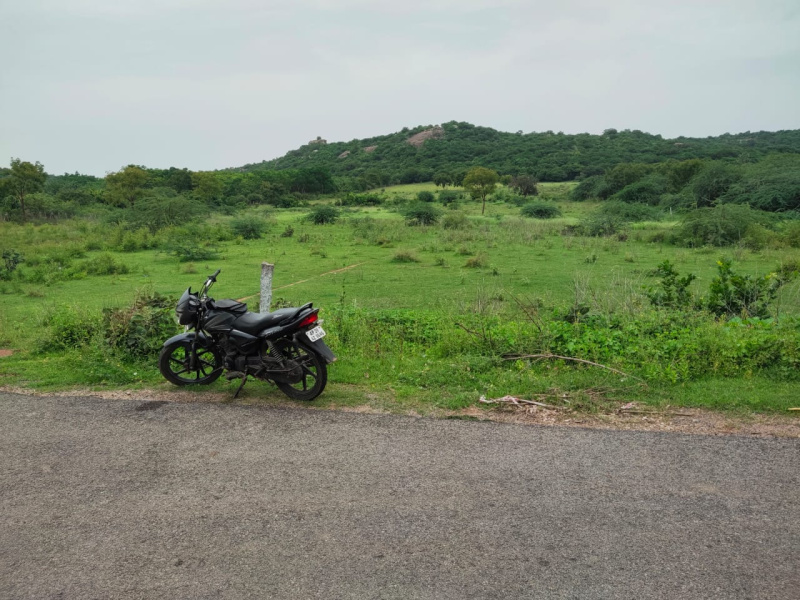 Agricultural Land 25 Acre for Sale in Penukonda, Anantapur