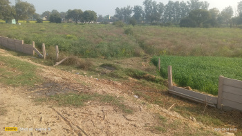  Agricultural Land for Sale in Vijaigarh, Aligarh