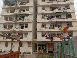 1 BHK Builder Floor for Sale in Bhangel, Greater Noida