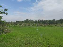  Agricultural Land for Sale in Wada, Thane