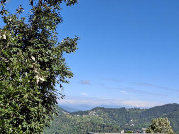  Residential Plot for Sale in Dhanachuli, Nainital