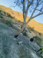  Hotels for Sale in Amer, Jaipur