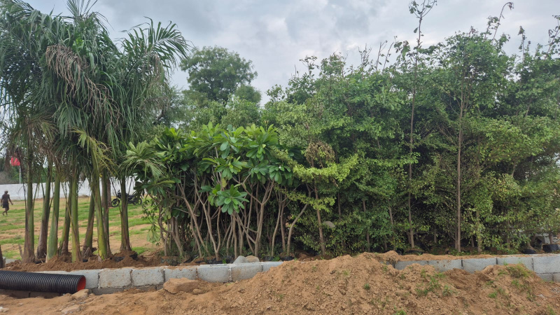 Residential Plot 97 Sq. Yards for Sale in Ajmer Road, Ajmer Road, Jaipur