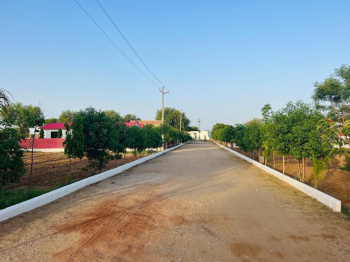  Agricultural Land for Sale in Kalwar, Jaipur