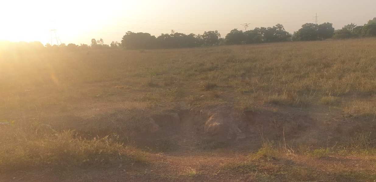 Agricultural Land 217800 Sq.ft. for Sale in Khurda, Bhubaneswar (REI1063478)