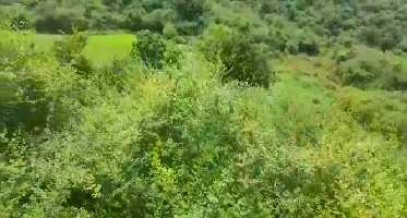  Agricultural Land for Sale in Nathdwara Road, Udaipur