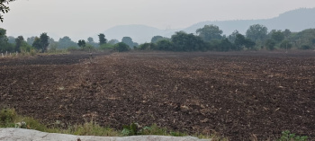  Agricultural Land for Sale in Super Corridor, Indore