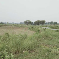 Agricultural Land for Sale in Sohramau, Unnao