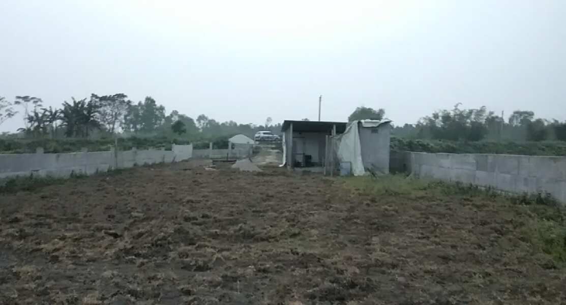  Agricultural Land 6480 Sq.ft. for Sale in Belacoba, Jalpaiguri
