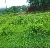  Agricultural Land for Sale in Pen, Raigad