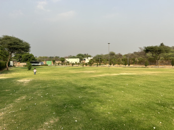  Agricultural Land for Sale in Gairatpur Bas, Gurgaon