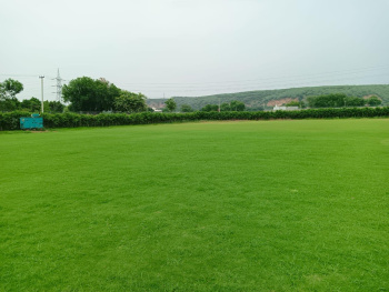 1 RK Farm House for Sale in Sohna Road, Gurgaon