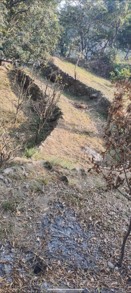  8000 Sq.ft. Agricultural/Farm Land for Rent in Dogaon, Nainital