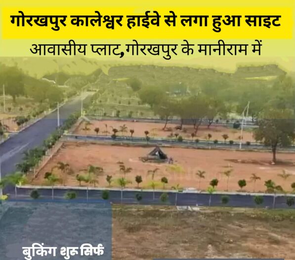  Residential Plot 1000 Sq.ft. for Sale in Jangal Kauria, Gorakhpur
