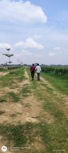  Residential Plot 1000 Sq.ft. for Sale in Hata, Kushinagar