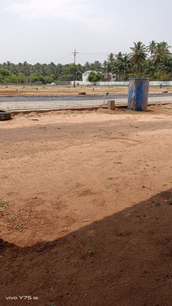 Residential Plot 600 Sq.ft. for Sale in Thondamuthur Road, Coimbatore