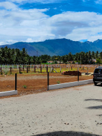  Agricultural Land for Sale in Thudiyalur, Coimbatore