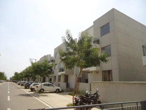 2 BHK Apartment 929 Sq.ft. for Rent in