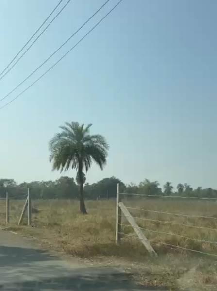  103455 Sq.ft. Commercial Land for Sale in Kalgam Bariyawad, Valsad