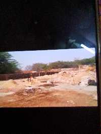  Industrial Land for Rent in Sojat, Pali