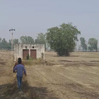  Agricultural Land for Sale in Mundlana, Sonipat