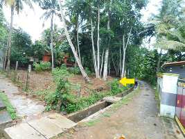  Residential Plot for Sale in Neyyattinkara, Thiruvananthapuram