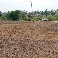  Agricultural Land for Sale in Munagala Mandal, Nalgonda