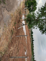  Agricultural Land for Sale in Shadnagar, Hyderabad