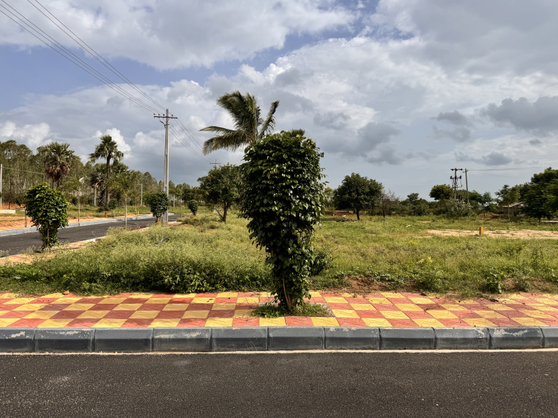  Residential Plot 172 Sq. Yards for Sale in Kongarkalan, Hyderabad