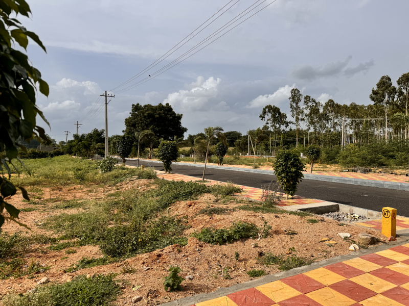  Residential Plot 172 Sq. Yards for Sale in Kongarkalan, Hyderabad