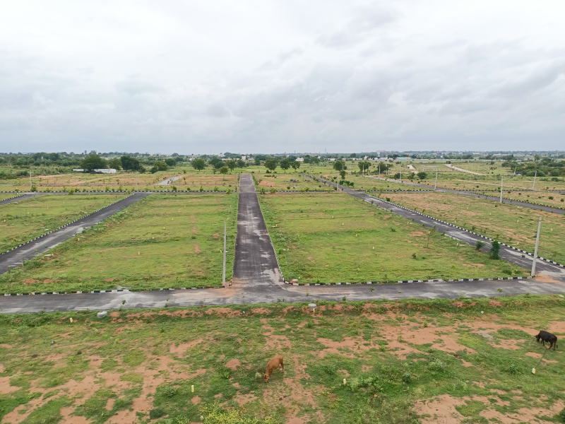  Residential Plot 200 Sq. Yards for Sale in Shadnagar, Hyderabad