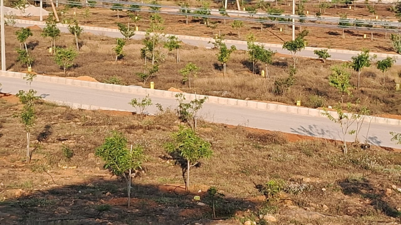  Residential Plot 165 Sq. Yards for Sale in Shadnagar, Hyderabad