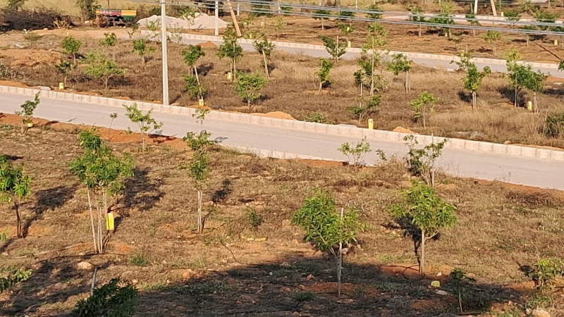 Residential Plot 165 Sq. Yards for Sale in Shadnagar, Hyderabad