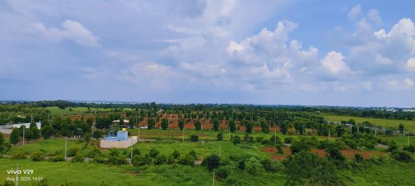  Residential Plot 183 Sq. Yards for Sale in Kothapalli, Vikarabad