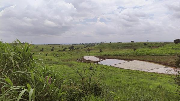  Residential Plot 183 Sq. Yards for Sale in Kothapalli, Vikarabad