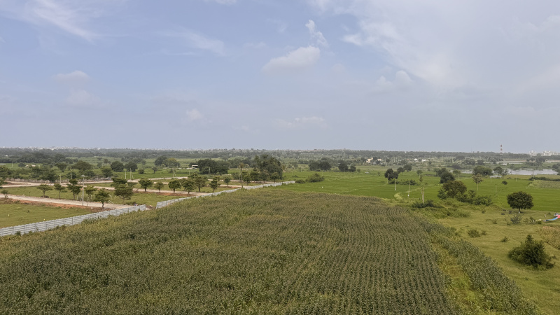  150 Sq. Yards Residential Plot for Sale in Keshampet, Hyderabad