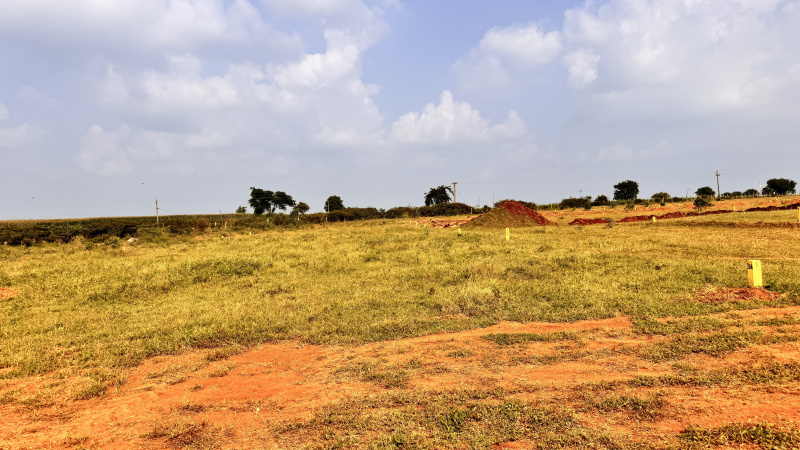 175 Sq. Yards Residential Plot for Sale in Keshampet, Hyderabad