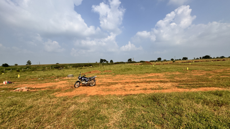 175 Sq. Yards Residential Plot for Sale in Keshampet, Hyderabad