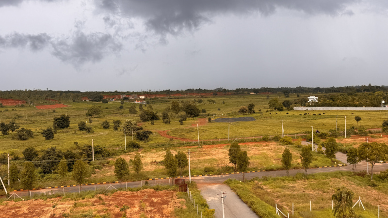  165 Sq. Yards Residential Plot for Sale in VIKARABAD Vikarabad