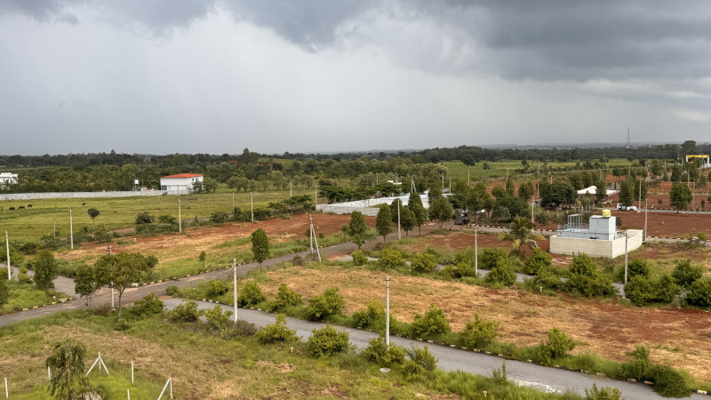  165 Sq. Yards Residential Plot for Sale in VIKARABAD Vikarabad