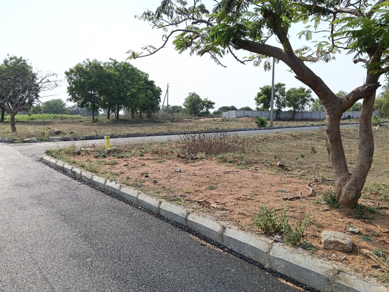  160 Sq.ft. Residential Plot for Sale in Shadnagar, Hyderabad